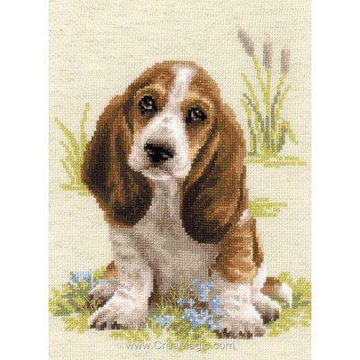 Le jeune basset broderie - RIOLIS