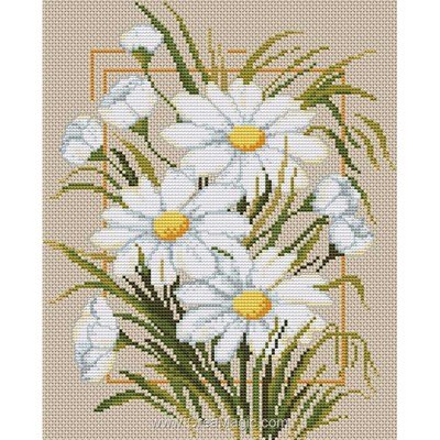 Luca-S la broderie marguerites blanches