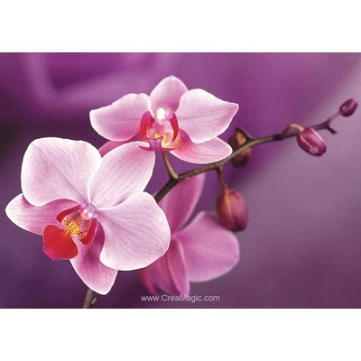 Broderie diamant branch of orchids - Wizardi