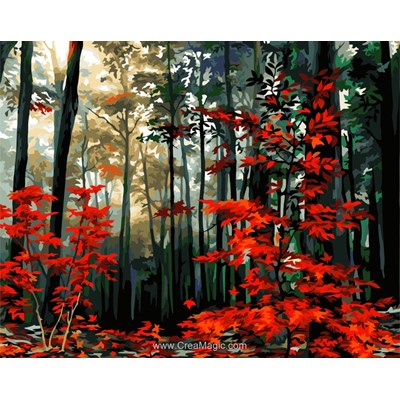 Peinture par numéro - Painting by numbers .  Morning in the autumn forest - Wizardi
