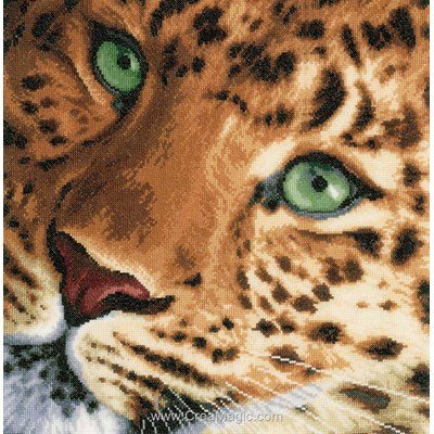 Broderie point croix Lanarte regard de léopard