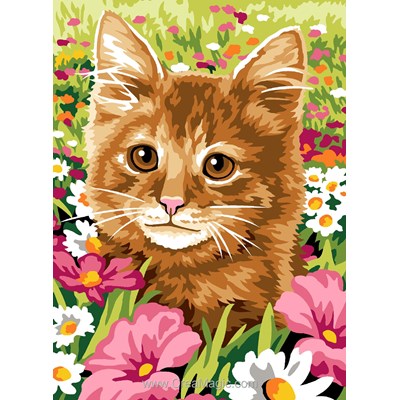 Canevas imprimé Le champ du chat - Margot