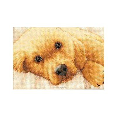 Kit broderie de Dimensions au point de croix golden puppy