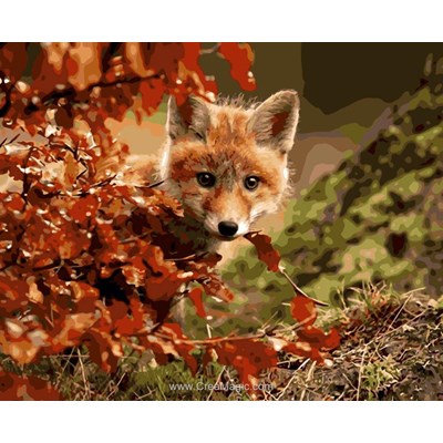 Peinture par numéro - Sly Fox - Wizardi
