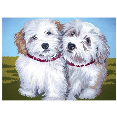 Duo de petit bichons canevas - Collection d'art