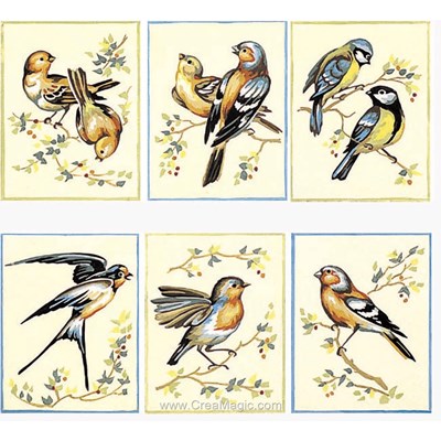 Kit canevas SEG oiseaux - lot de 6 assortis