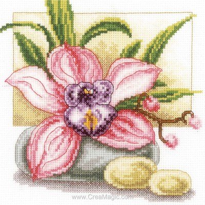Modèle broderie point de croix Vervaco orchidée rose