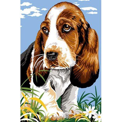 Basset dans la prairie canevas chez SEG