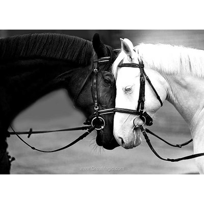 Kit broderie diamant Collection d'art chevaux noir et blanc