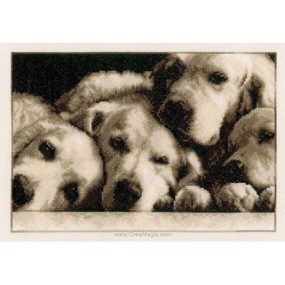 Portrait de labradors broderie point compté - Vervaco