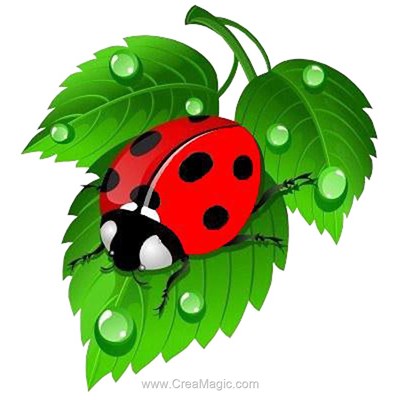 Broderie diamant Diamond Painting ladybug