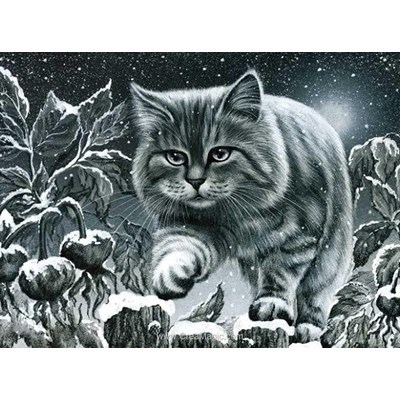 Broderie diamant grey cat - Diamond Painting