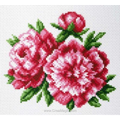 Broderie imprimée aida pivoines - peonies de Collection d'art