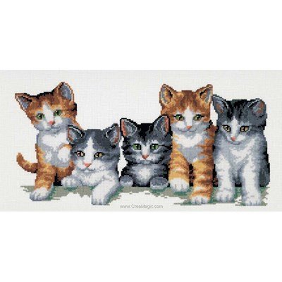 Modèle broderie 5 petits chatons de Vervaco