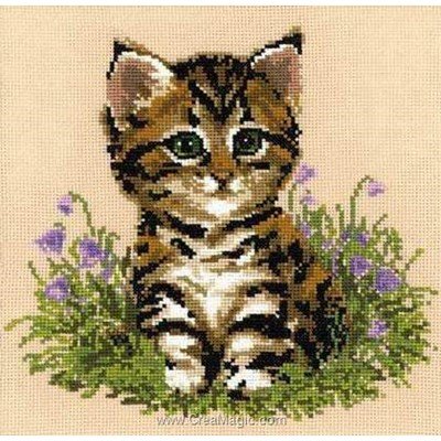 Broderie au point compté RIOLIS chaton tigré