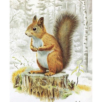 Kit broderie diamant squirrel de Diamond Painting