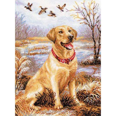 Kit broderie labrador à la chasse - RIOLIS