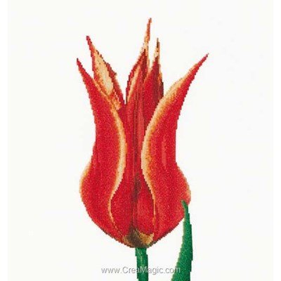 Point de croix à broder red/yellow lily flowering tulip sur aida - Thea Gouverneur