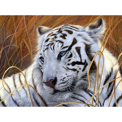 Kit broderie diamant le tigre blanc de Diamond Painting