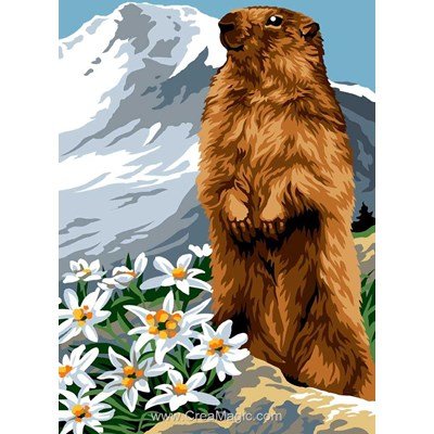 La marmotte dans la montagne blanche canevas - Margot