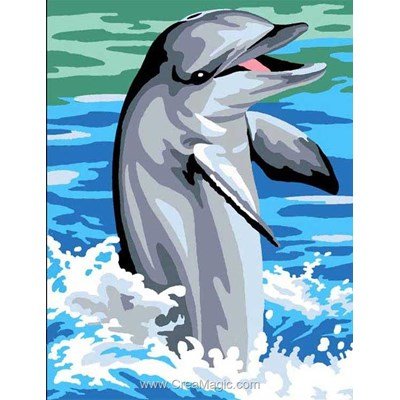 Animaux - Dauphin joueur - Margot