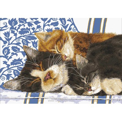 Chats endormis blottis canevas chez Collection d'art