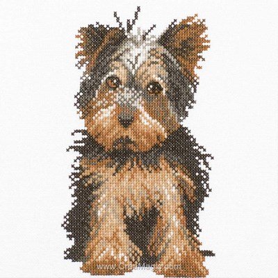 Broderie yorkshire terrier - Lanarte