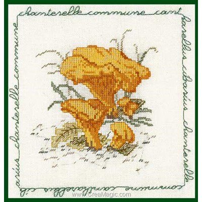 Point de croix champignon - chanterelle commune de Le Bonheur Des Dames