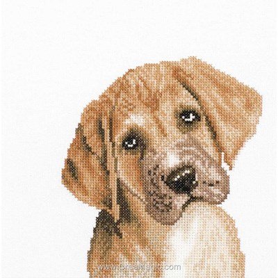 Modèle broderie irresistible puppy sur etamine de Lanarte