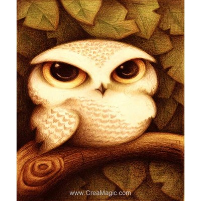 Kit broderie diamant Diamond Painting owl