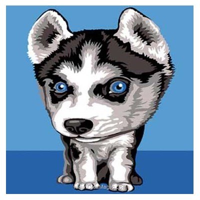 Petit husky kit canevas pour débutant - SEG