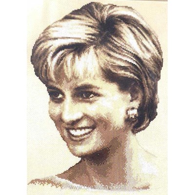 Broderie point compté princesse diana de Vervaco