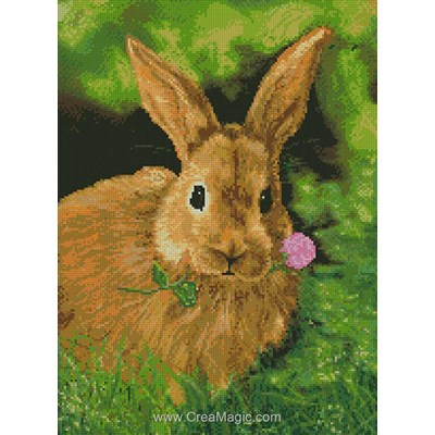 Broderie diamant rabbit - Diamond Painting