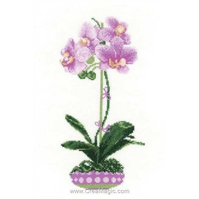 L'orchidée lila broderie au point compté - RIOLIS