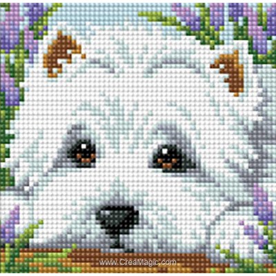 Kit broderie diamant dog de Diamond Painting