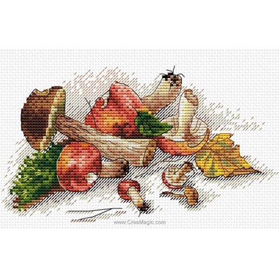 Kit Aux champignons - MP Studia