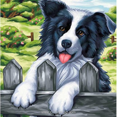 Kit broderie diamant Diamond Painting joyeux border collie