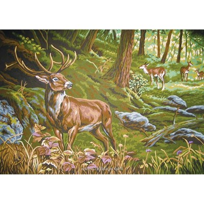 Le cerf au coeur de la forêt canevas - Collection d'art