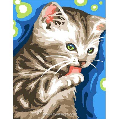Animaux - Toilette de chat - Margot