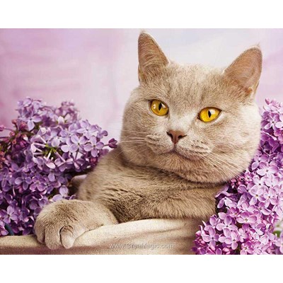 Broderie diamant cat in the lilac - Diamond Painting