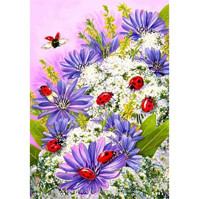 Kit broderie diamant ladybirds - Diamond Painting