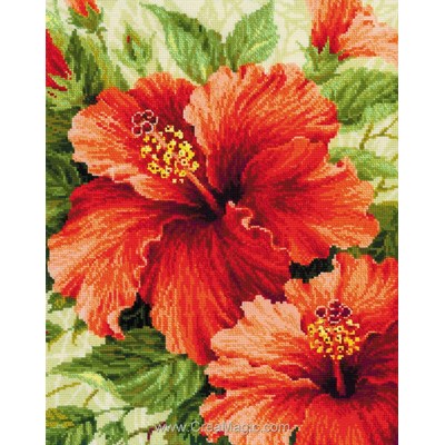 Broderie Fleurs et Plantes - Hibiscus - RIOLIS