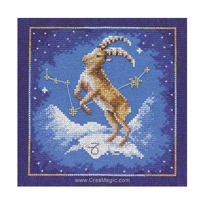 Kit point croix capricorn, 21-12/20-1 sur etamine - Lanarte
