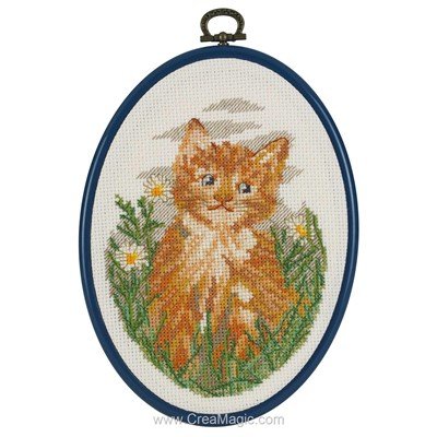 Kit Point De Croix DMC – Chaton Roux Sur Toile Aida – Neuf