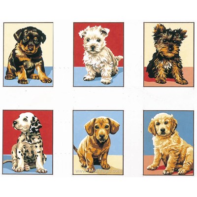 Mes amis les chiens - lot de 6 assortis kit canevas avec fils - SEG