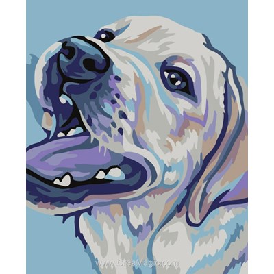 Peinture par numéro - Labrador Retriver - Wizardi