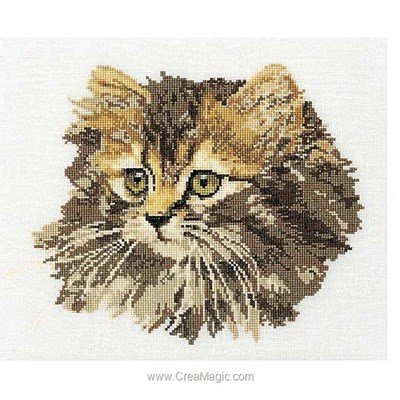 Kit broderie point de croix chat brun angora sur aida - Thea Gouverneur