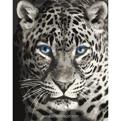 Peinture par numéro - Blue eyed leopard - Wizardi