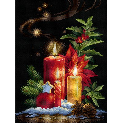 Kit Christmas light - RIOLIS