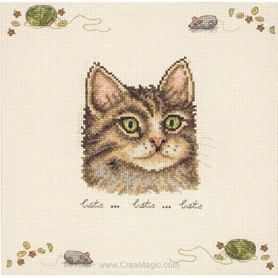 Broderie point croix Anchor cat sampler